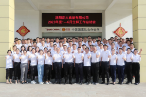 總結(jié)過去，計(jì)劃未來，協(xié)同創(chuàng)新，再創(chuàng)佳績！洛陽正大舉行2023年上半年工作總結(jié)會(huì)議